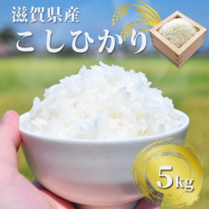 ぎおん米コシヒカリ 5kg 株式会社TKS 滋賀県 東近江市 A-G24 米 白米 こしひかり 5キロ お取り寄せ 産地直送