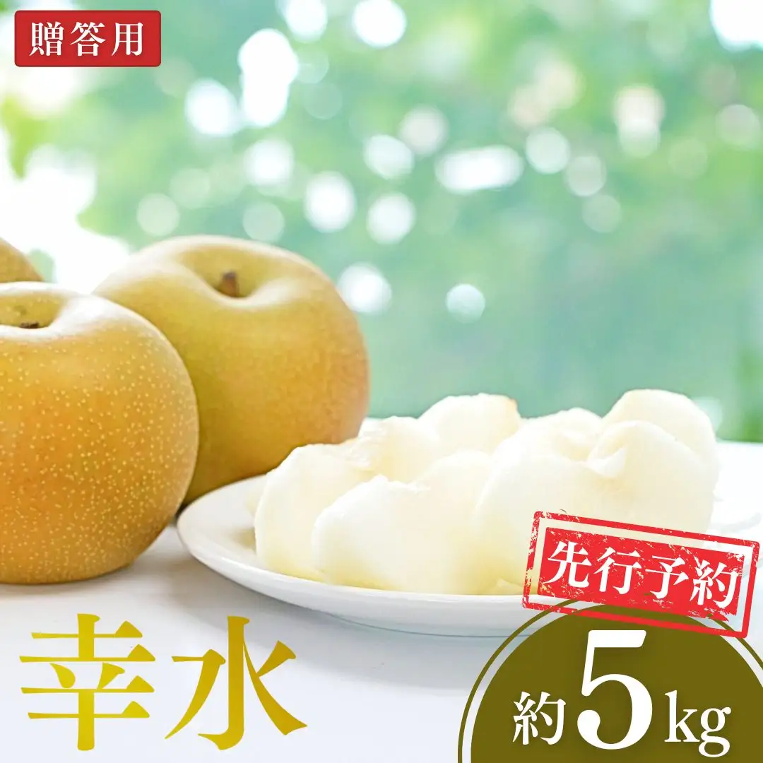 先行予約 和梨 幸水 約5kg （9~16玉） 令和8年 幸水 梨 新潟県 三条市 小林農園