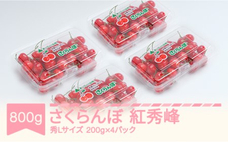 先行予約 さくらんぼ 紅秀峰 720g(180gx4) 2026年産 ns-bsslp800