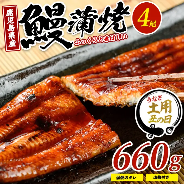 【丑の日に合わせてお届け！】鹿児島県産鰻の蒲焼(無頭背開き)約165g×4尾(山中水産/IB022-002u) うなぎ