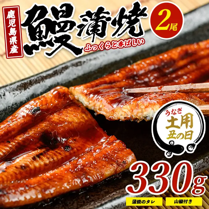 【丑の日に合わせてお届け！】鹿児島県産鰻の蒲焼(無頭背開き)約165g×2尾(山中水産/IB022-001u)うなぎ 国産