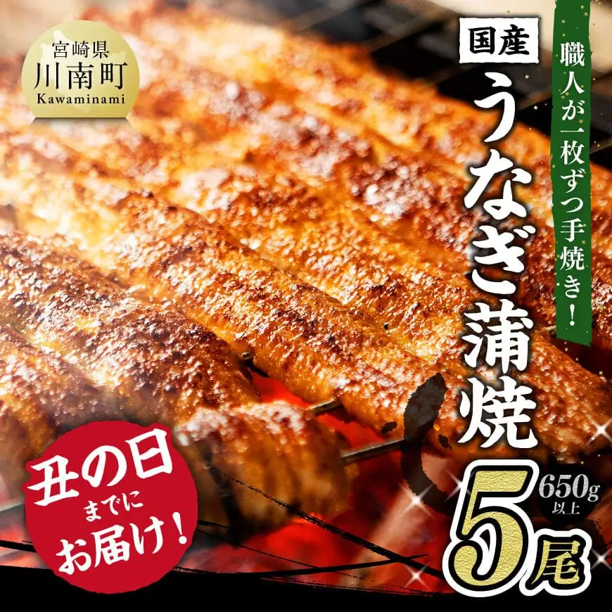 【丑の日までにお届け！】ひむか 山道うなぎ 蒲焼 5尾分 (650g以上) 【 国産 九州産 宮崎県産 うなぎ ウナギ 鰻 鰻の蒲焼き 蒲焼 】 
