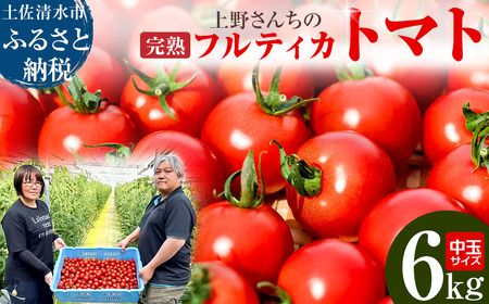 【令和８年10月】完熟フルティカトマト6kg（中玉サイズ）天然地下水使用 　甘熟ミディトマト  とまと 6000g 6キロ 野菜 サラダ 料理 ギフト 国産 高知県 土佐清水市【R00631】