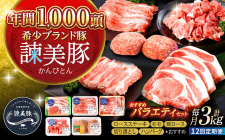 【12回定期便】諫美豚おすすめバラエティセット3kg / 諫美豚 豚肉 肩ロース ステーキ モモ 切り落とし ハンバーグ ロースステーキ / 諫早市 / 株式会社土井農場 [AHAD011]