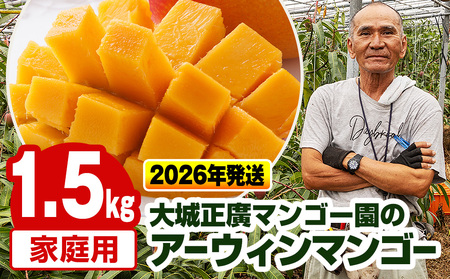 【2026年発送】大城正廣マンゴー園のアーウィンマンゴー（家庭用）1.5kg