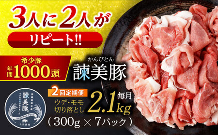 【2回定期便】＜特Aのブランド米で育てた＞諫美豚切り落とし 2.1kg / 豚肉 ぶたにく 切り落とし 肉 豚 ぶた お肉 スライス パック 小分け / 諫早市 / 株式会社土井農場 [AHAD012]