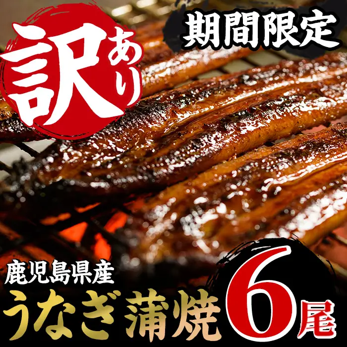 うなぎ 鹿児島県産 訳あり うなぎ 蒲焼 6尾【00-025-09-60】