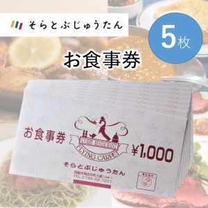 【お食事券1,000円分×５枚】世界の味を旅するレストラン「そらとぶじゅうたん」／17-28