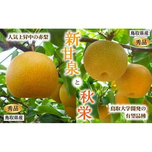 新甘泉・秋栄セット 秀品 2.5kg箱【スクスク農場】