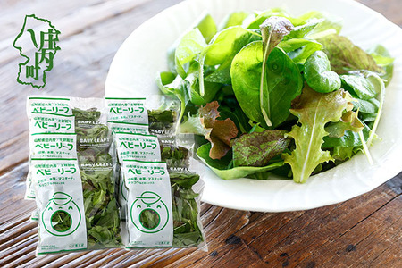 庄内産 ベビーリーフミックス 40g×8袋 土耕栽培 サラダ スムージー 若葉 野菜 生野菜 新鮮 山形県 冷蔵