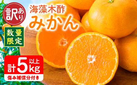 訳あり 数量限定 海藻木酢みかん 計5kg以上 傷み補償分入り フルーツ 果物 _A94-25
