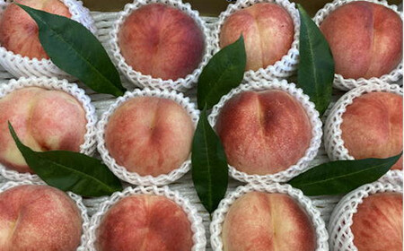 8-019-002　サトケンさんの桃「あかつき」Lサイズ 3kg前後