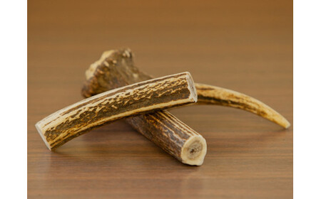 8-013-031　鹿の角・愛犬デンタルおもちゃ（大）