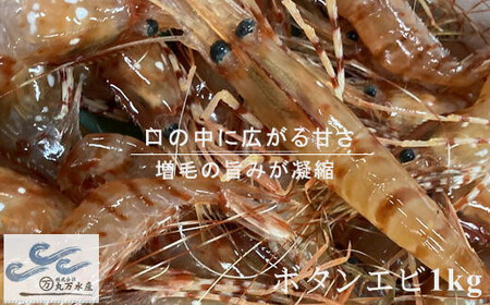 8-030-001　冷凍ボタンエビ 1kg（34尾～46尾入）