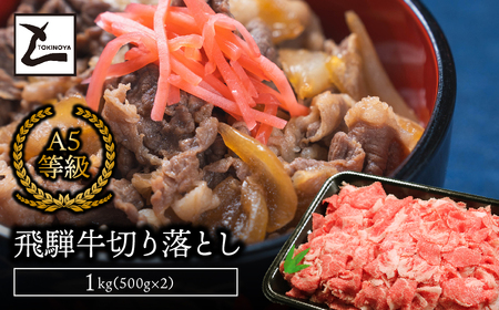 A5飛騨牛切り落とし1kg（500g×2） 2025/9/19～
