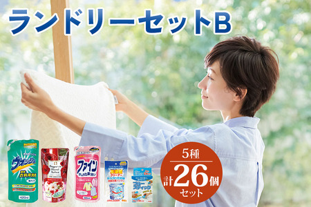 洗濯用洗剤など日用品セット 生活応援] ランドリー セットB ( 衣料 用 液体洗剤 液体 柔軟剤 洗濯