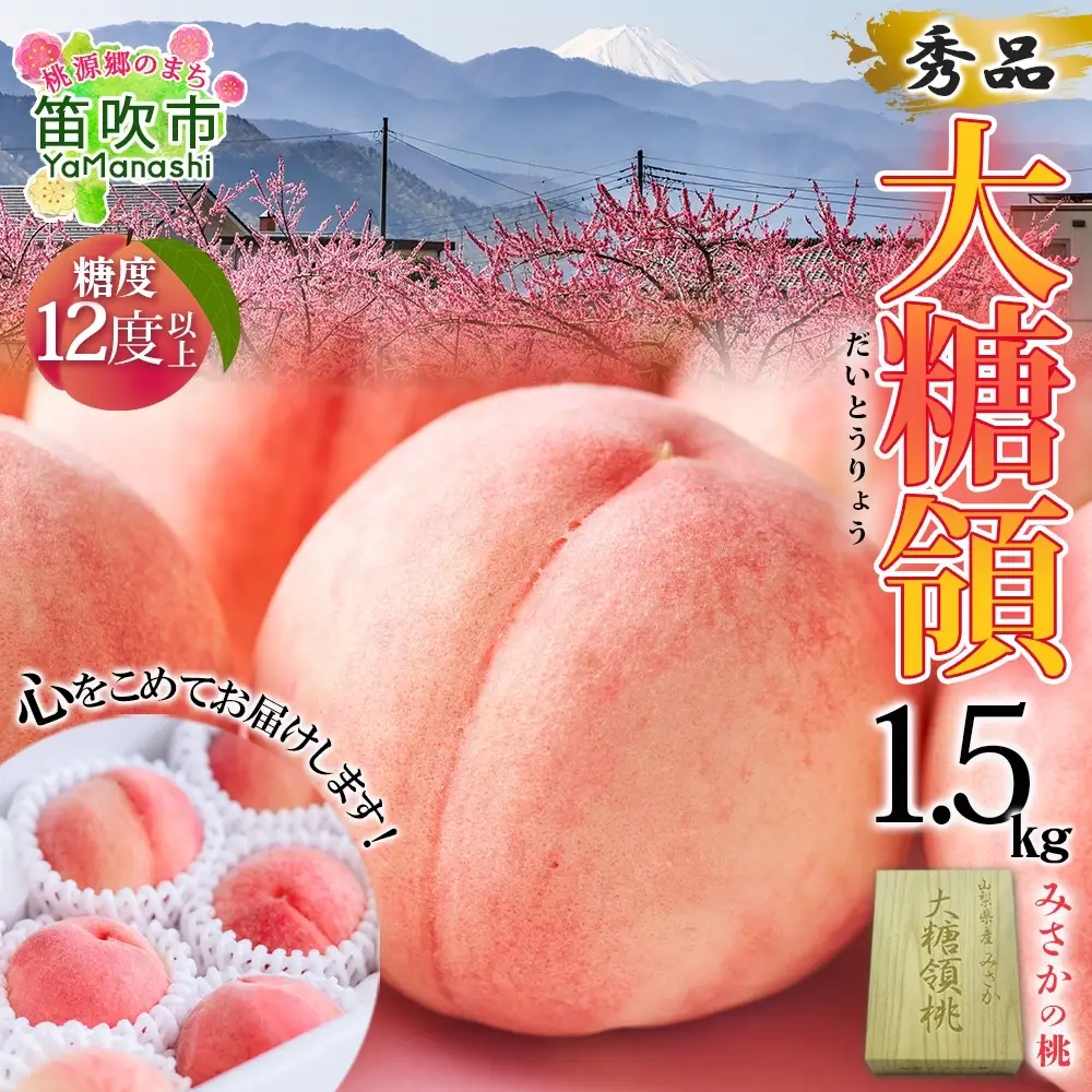 【2026年発送★先行予約】桃 秀品 1.5kg 大糖領 糖度12％以上※クール便配送 177-001-26y | 秀品桃 化粧箱入り桃 おすすめ桃 高評価桃 大糖領 高級桃 山梨のもも |