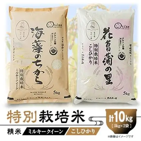 特別栽培米10kg(精米/ミルキークイーン・コシヒカリ　各5kg)【1290532】