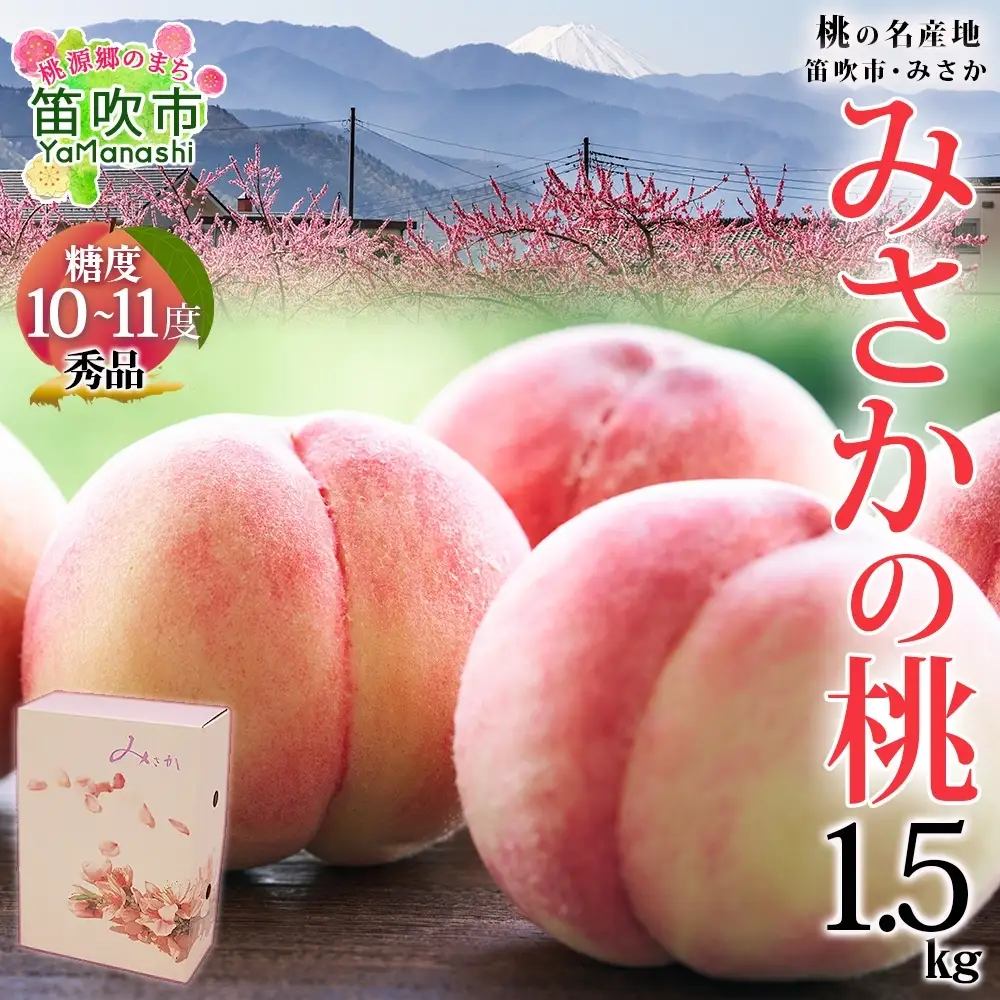 【2026年発送★先行予約】桃 秀品 1.5kg  糖度10％以上※クール便配送 177-004-26y