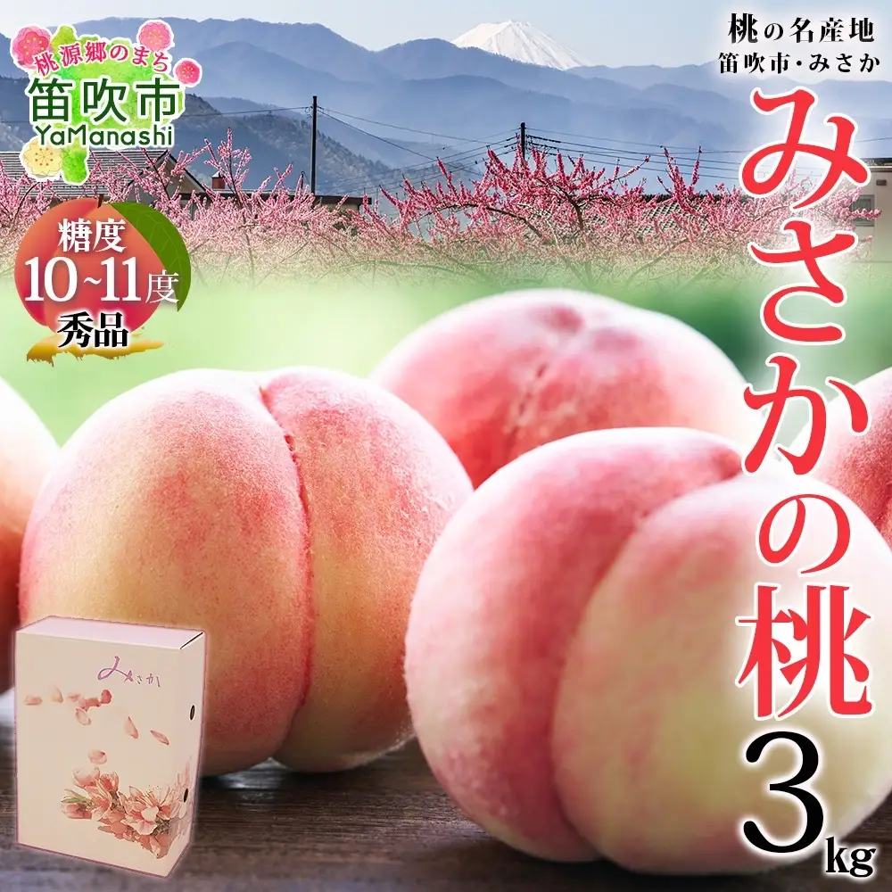 【2026年発送★先行予約】桃 秀品 3kg 糖度10％以上 ※クール便配送 177-005-26y