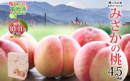【2026年発送★先行予約】桃 秀品 4.5kg  糖度10％以上※クール便配送 177-006-26y