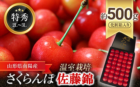 【令和8年産先行予約】 温室さくらんぼ 「佐藤錦」 約500g (特秀 2～3L) 化粧箱入り 《令和8年5月下旬～発送》 『松田観光果樹園』 生産農家直送 温室栽培 山形県 南陽市 [617]