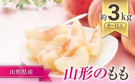 【令和8年産先行予約】 JA もも 「川中島・ゆうぞら・美月 等」 約3kg (8～11玉) 化粧箱入り 《令和8年8月下旬～9月下旬発送》 『JA山形おきたま』 桃 モモ 果物 フルーツ 山形県 南陽市 [714]