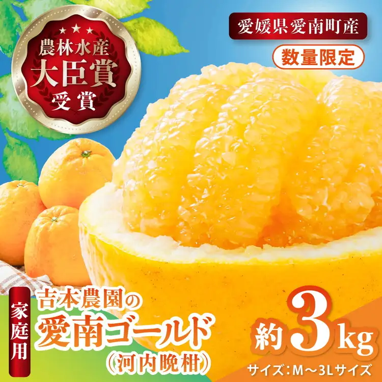 【先行予約】吉本農園の愛南ゴールド（河内晩柑）家庭用約3kg　＜柑橘 希少 果物 国産 フルーツ みかん 蜜柑  家庭用 和製 グレープフルーツ ブランド 果実 ビタミン 愛媛県 鬼北町＞ ※2026年4月上旬～8月上旬頃に順次発送予定