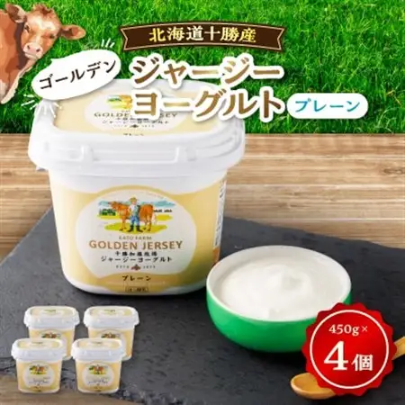 ゴールデンジャージーヨーグルト　450g×4個_卵・乳製品 ヨーグルト  _【配送不可地域：離島】【1301319】