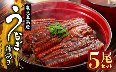 1651-1 鹿児島県産 うなぎ蒲焼き 5尾セット KN058-002-05 魚 鰻