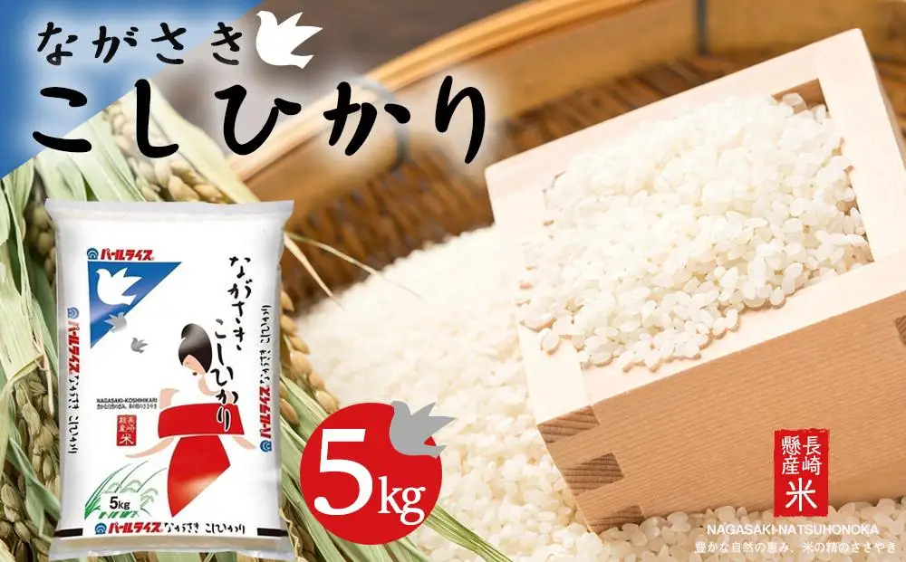 【AA040】長崎県産米 令和7年産 ながさきこしひかり 5kg｜米 こしひかり