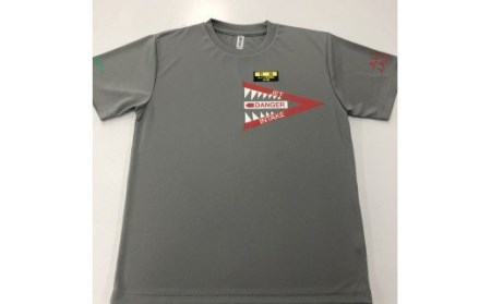 743 F-4EJ 301号機 Tシャツ（飛行開発実験団 明灰）