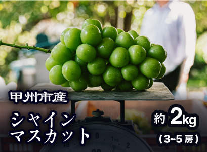 【農家厳選！】甲州市産 シャインマスカット 約2kg【2026年発送】（PJ）B15-144 シャインマスカット フルーツ