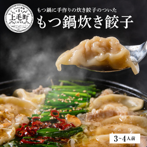 ぶどうの樹　九州産和牛マル腸　もつ鍋炊き餃子【3～4人前】_KG0204