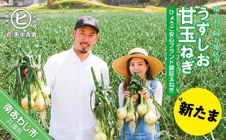 淡路島産新玉ねぎ　うずしお甘玉ねぎ　3kg　◆配送2月下旬～6月下旬