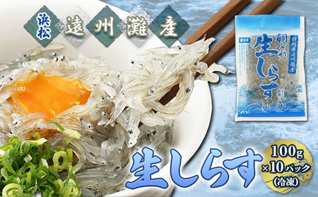 【数量限定】浜松生しらす（冷凍）100g×10パック 魚貝類 10袋 