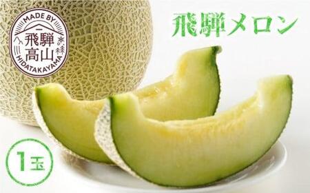 【数量限定】2026年先行予約 飛騨メロン 1玉 ≪8月頃～順次発送≫ | 飛騨高山産 メロン めろん 高冷地 果物 くだもの フルーツ 期間限定 数量限定 飛騨高山 宿儺さま KA012