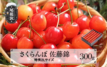 先行予約 さくらんぼ 佐藤錦 特秀2Lサイズ 300g 化粧箱 鏡詰め 令和8年産 ns-snt2x300