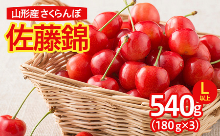  さくらんぼ 佐藤錦 540g(180g×3パック)L以上 フードパック 【令和8年産先行予約】FS25-638 くだもの 果物 フルーツ 山形 山形県 山形市 2026年産