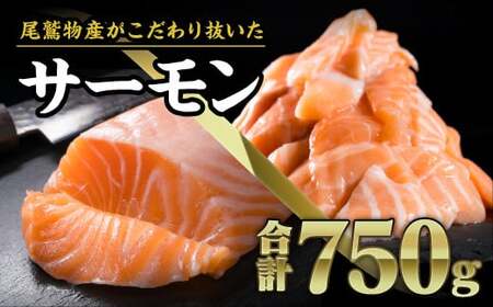 アトランティックサーモンセット（ブロック300g 切り落とし150g×3パック 計750g） 小分け 鮭 国際規格SQF2000 さけ シャケ しゃけ sake カルパッチョ ソテー レアステーキ 贈答 生食用 刺身 お刺身 刺し身 魚介類 海鮮 冷凍 厚切り 薄切り OB-22
