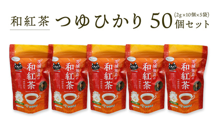 和紅茶 つゆひかり 50個 セット ( 2g × 10個 × 5個 ) [AF003ya]
