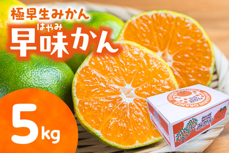 福岡県ブランド 極早生みかん「早味かん」5kg【JAほたるの里】_HA0887