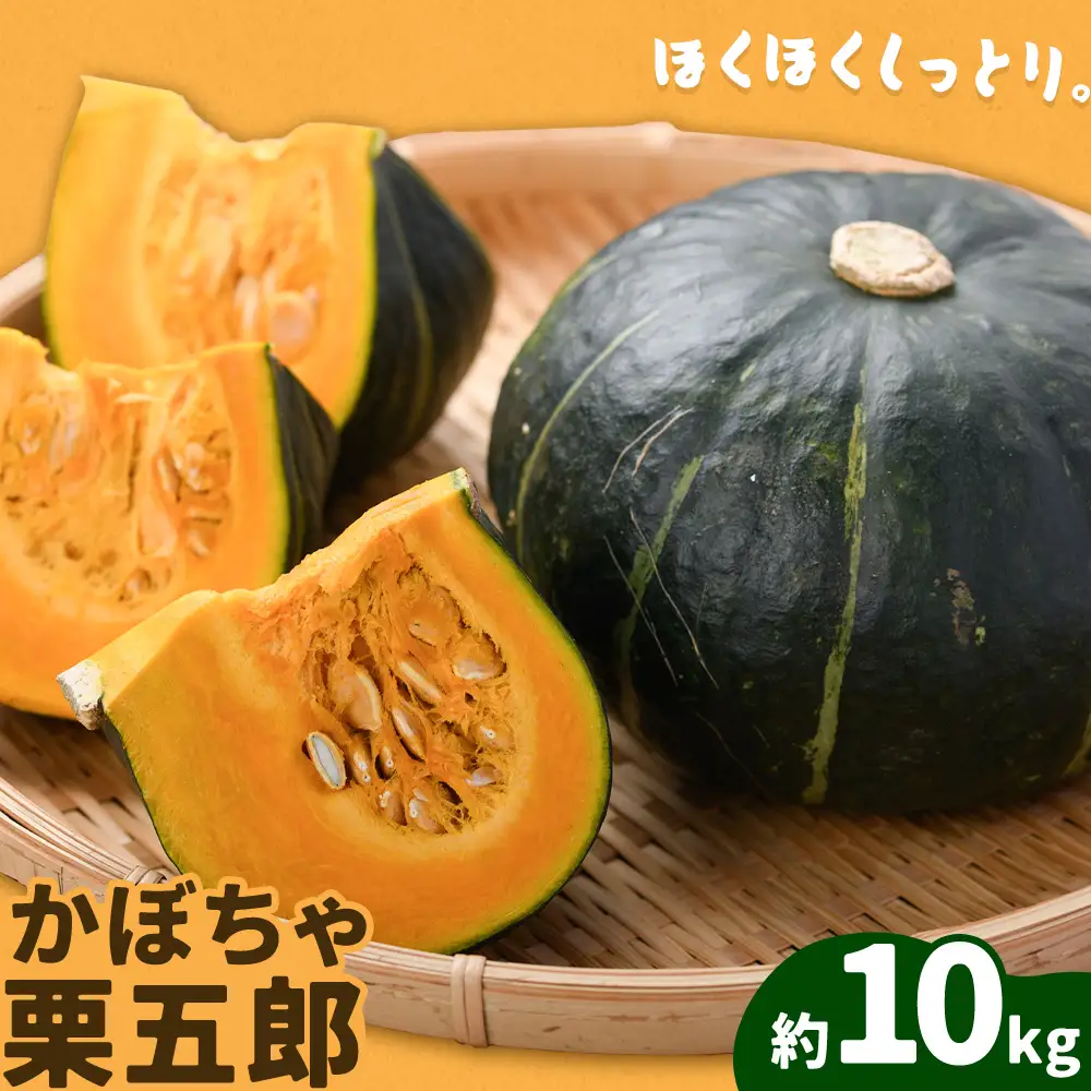 かぼちゃ 栗五郎 約10kg 小山農園《6月中旬-7月中旬頃出荷》