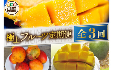 【2026年6月より順次発送】【全3回】豊見城 極上フルーツ定期便(6・7・8月コース) (AC022)