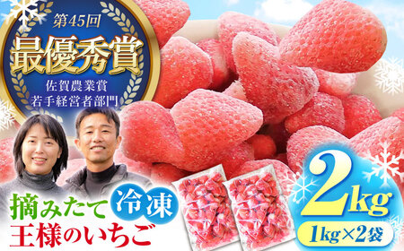 冷凍いちご 1kg HAF003 いちご 苺 アイス