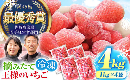 冷凍いちご 1kg HAF004 いちご 苺 アイス
