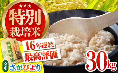 令和7年産 特別栽培米 さがびより 玄米 30kg [HAG007]特A米 特A評価 コメ 米