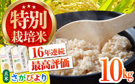 令和7年産 特別栽培米 さがびより 玄米 10kg [HAG018]特A米 特A評価 コメ 米