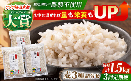 【全3回定期便】麦詰合500g×3（押ムギ・胚芽押麦・丸むぎ）【葦農】 HAJ031