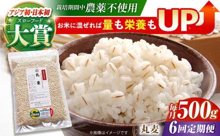 【全6回定期便】丸麦500g（1等麦使用）【葦農】 HAJ041
